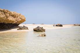 Sharm El Luli Snorkeling Tours from Marsa Alam Tours