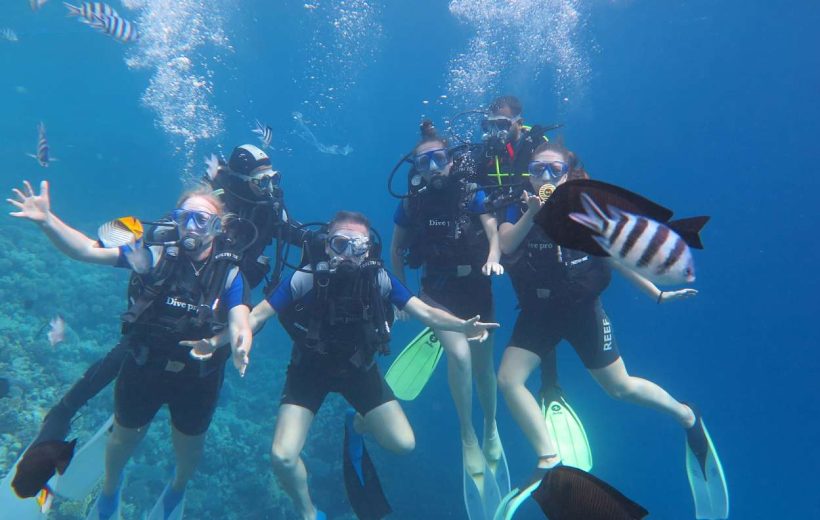 Portghalib intro diving trip from Marsa Alam